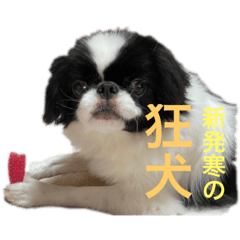 yuka_20220402141302