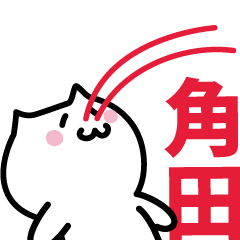 LAST NAME Sticker TSUNODA !!!