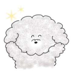 Toy poodles(silver)2