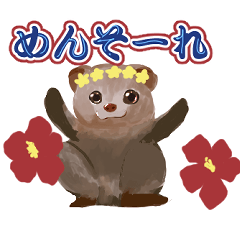 Okinawa dialect mongoose