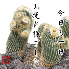 Cacti love special stamp