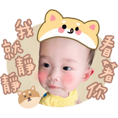 平平日常（柴犬版）