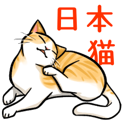 Japanese cats are cute
