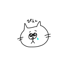 kichi_2022