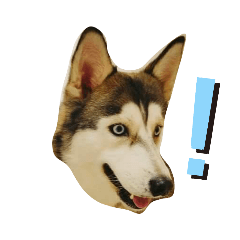 我是女生－湯圓