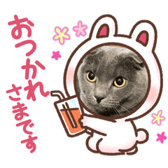 nanami_20220403002147