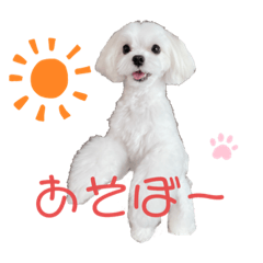 suzu_20220403120352