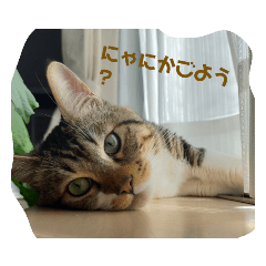 kaito_20220403183338