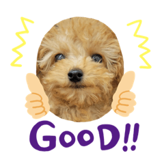 Saori_20220403203734