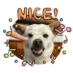 nana713_20220403211711