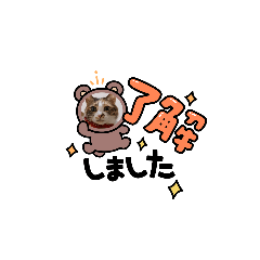 naho_20220403225914