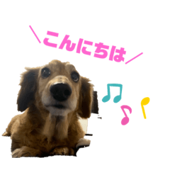 mizuki_20220403233257