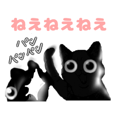 Funny cute black cat sticker