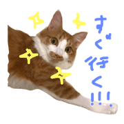mellmell