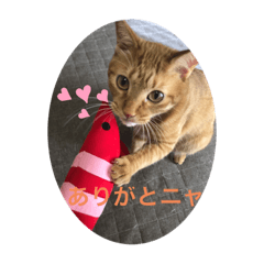 toranosuke_20220403183424