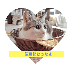 Matsu_20220403175003