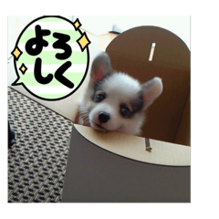 aoi_20220404103913