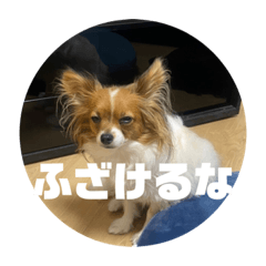 Aoi_20220404114436