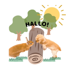 shiho_20220403152318