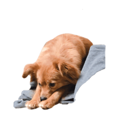 ozounitabetai_20220403222430