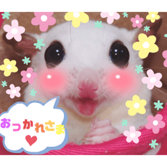 maichi_20220404115807
