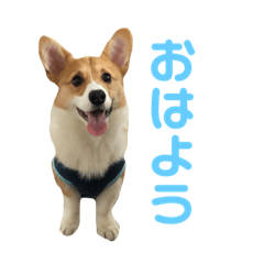 ayano_20220403211701