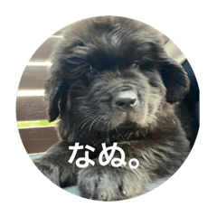 hana_20220404054837