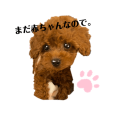 rina_20220404120115