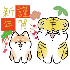 Shiba Inu Dog<Tiger> -resale-