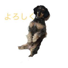 konnitiha_20220402230940