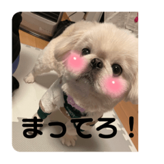 chie_20220403225140