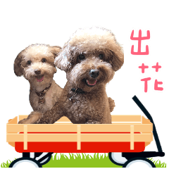 Haba專屬貼圖