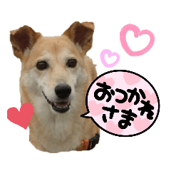 konatsu_20220404124714