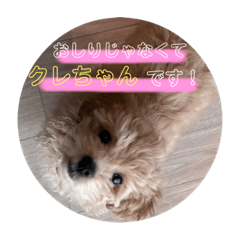 rina_20220403131830