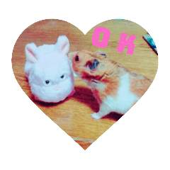 hikaru_20220404130008
