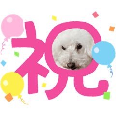 yuka_20220404150327