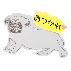 hikaru_20220403173011