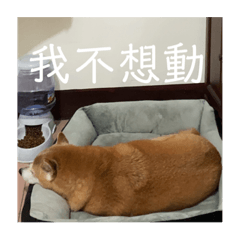 我是啾小比
