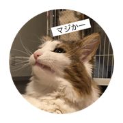 choco_1
