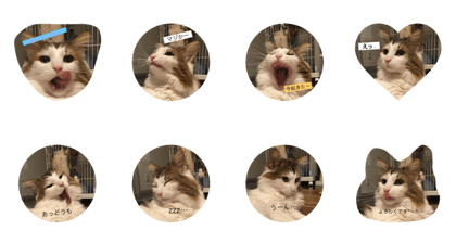 choco_1