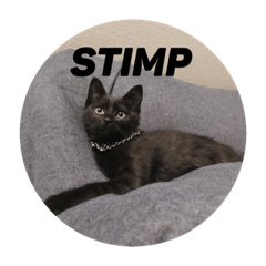 STIMP
