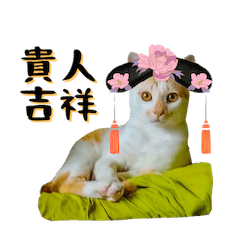 毛主任和他的貴人們