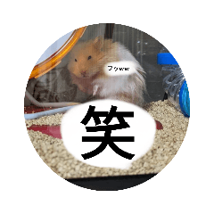 aoi_20220404204840