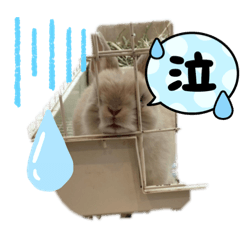 Nanami_20220405070212