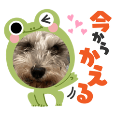 nanami_20220404194043