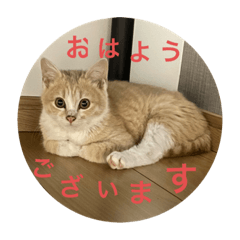 rina_20220405104930