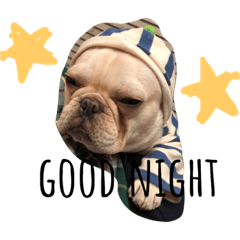 Goo's French Bulldog