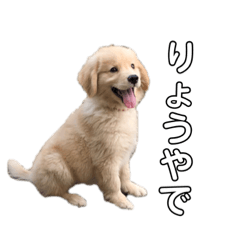 natsumi_20220405100931