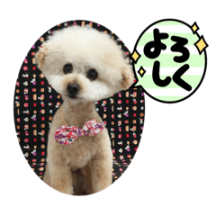 Hikaru_20220404233148