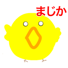Daily piyo round